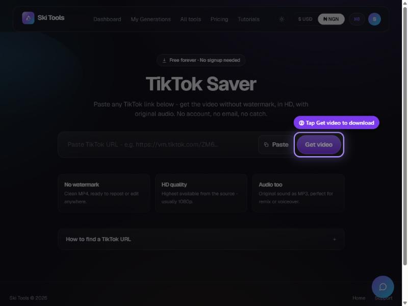 TikTok Saver step 4: Download